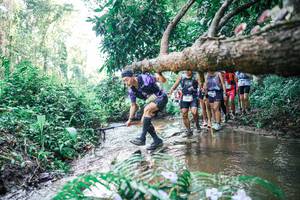 BIB: 
                            <button type="button" onclick="openModal(25466948)" class="btn btn-primary btn-sm float-right btn-popup" data-toggle="modal" data-target=".modal-high-quality">
                        <i class="fas fa-shopping-cart"></i> Add to Cart
                    </button>
                                            <button type="button" onclick="isThisMe(25466948, true)" class="btn btn-success btn-sm float-right btn-popup btn-isme hidden" data-toggle="tooltip" data-placement="bottom" title="นี่คือรูปของคุณใช่ไหม คลิกที่นี่เพื่อเอาเข้าอัลบั้ม">
                        <i class="fas fa-plus"></i> Add to album
                    </button>
                    <button type="button" onclick="isThisMe(25466948, false)" class="btn btn-warning btn-sm float-right btn-popup btn-isnotme hidden">
                        <i class="fas fa-ban"></i> Remove from album
                    </button>